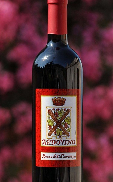 ardovino